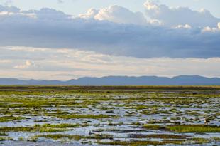 Amboseli See