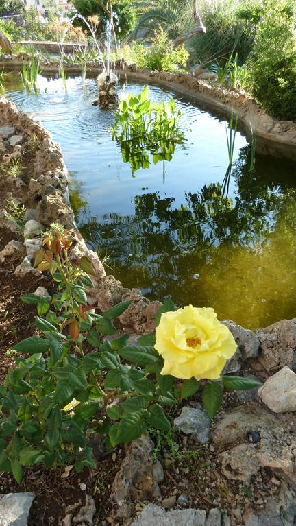 Teich im Garten des Hotels