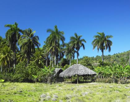 Humboldt-Nationalpark