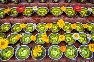Schalen mit Wasserblumen und Safran