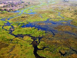 Okavango-Delta