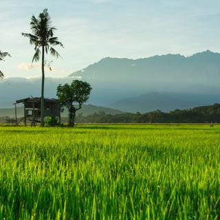 Kota Kinabalu 