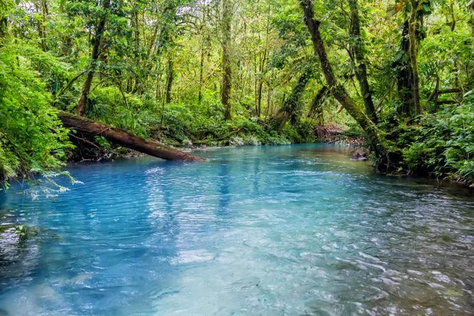Tenorio National Park Fluss