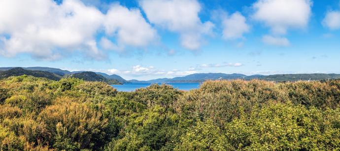 Chiloé Nationalpark