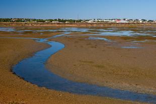Ria Formosa 