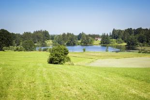 Landschaft bei Murnau
