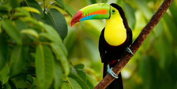 Costa Rica Landschaft