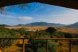 Safari View 