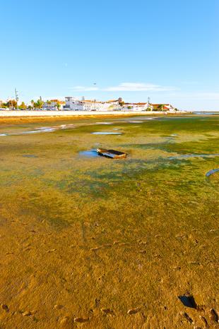 Ria Formosa 