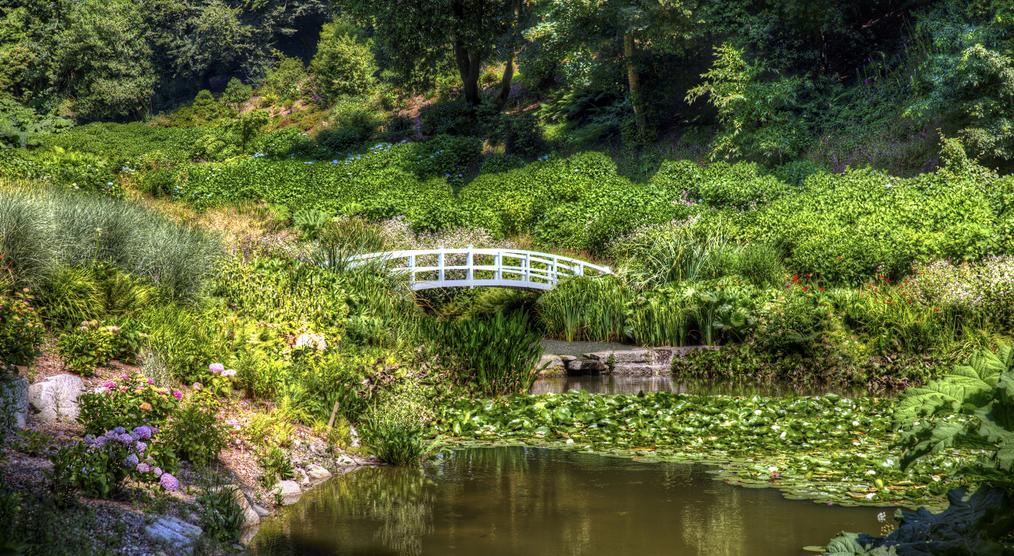 Brücke im Trebah Garden