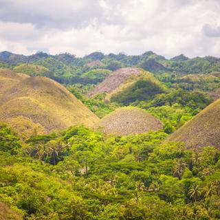 Chocolate Hills