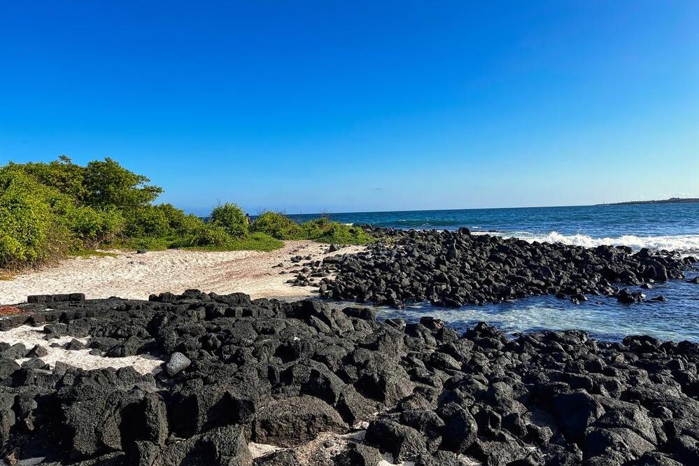 Küste der Isla Santa Cruz