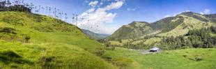 Panorama der Valle del Cocora