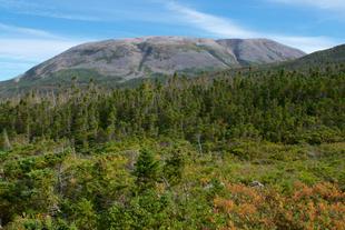 Gros-Morne-Nationalpark 
