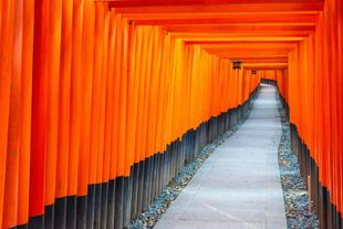 Torii-Tore