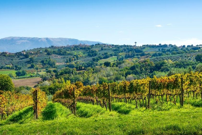 Weinregion Montefalco