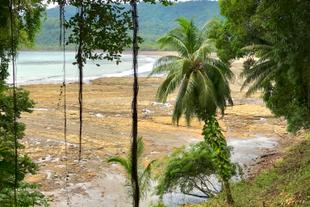 Küste in Dominical