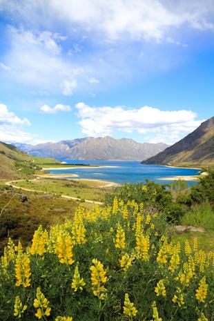 Lake Hawea