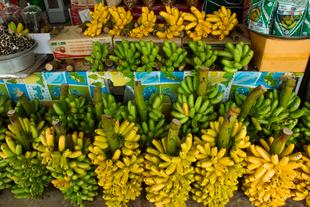 Kluai Khai Bananenstand 