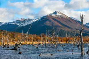 Tierra del Fuego