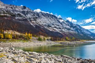 Jasper National Park 
