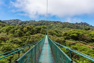 Hängebrücke in Monteverde