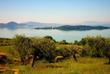 Lago Trasimeno