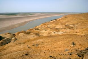 Amudarya Fluss in der Wüste Kyzylkum 