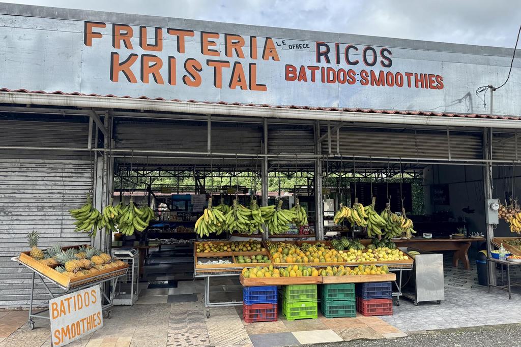 Fruchtstände in Costa Rica