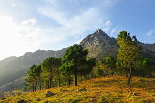 Naturpark Sierra de Grazalema