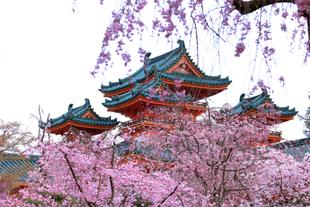 Heian Schrein in Kyoto