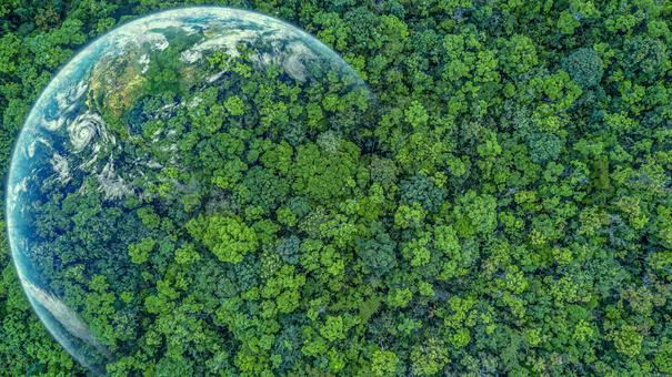 Klimaschutz bei SKR Reisen