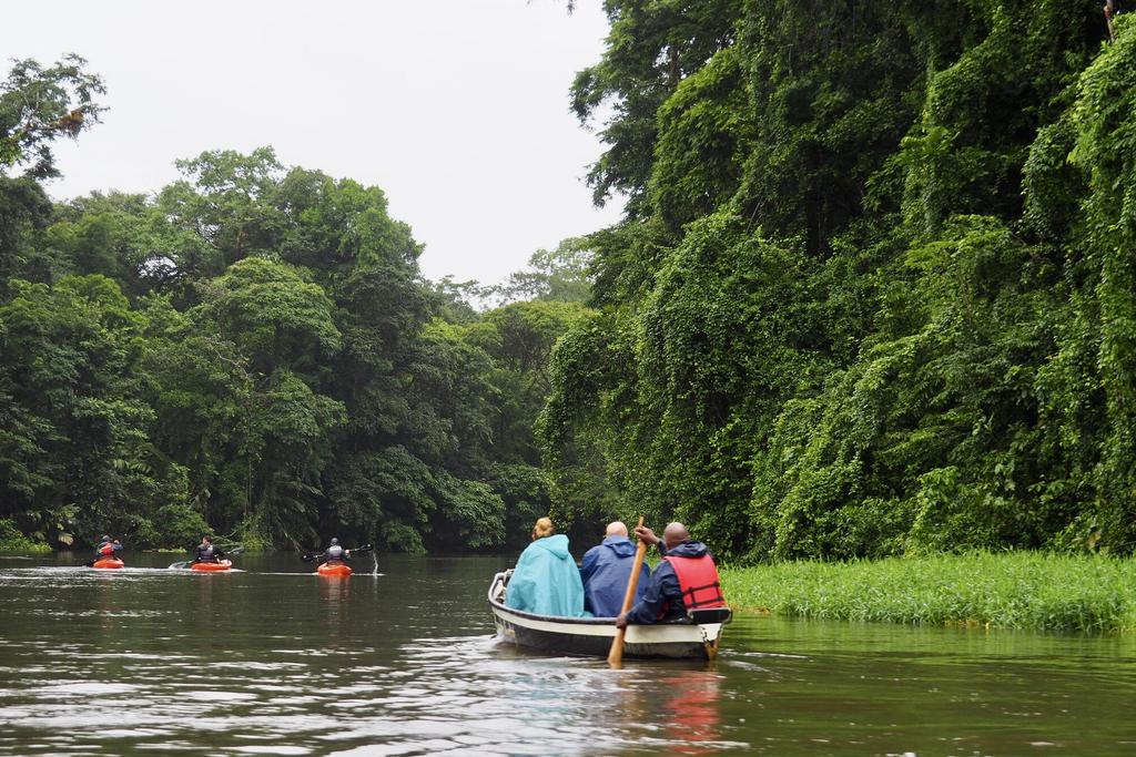 Bootsfahrt im Tortuguero Nationalpark