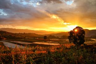 Sonnenuntergang über den Reisterrassen von Antsirabe 
