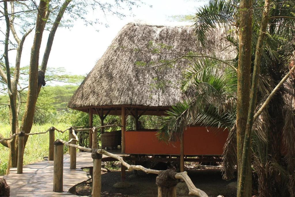 Bungalow
