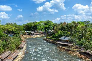 Bukit Lawang