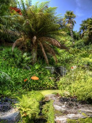 Der tropische Trebah Garden
