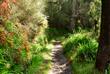  Levada da Serra do Faial