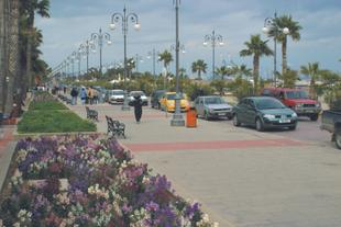 Palmenpromenade