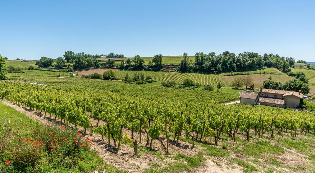 Saint-Émilion: Charmantes Weindorf im Südwesten Frankreichs