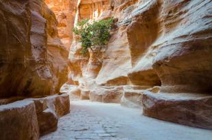 Petra