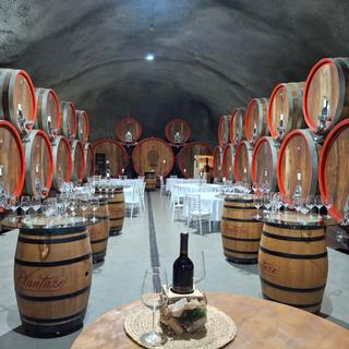 Weinprobe in Tuzi