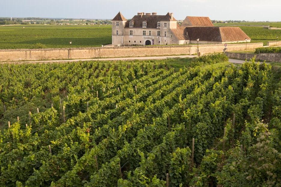 Château du Clos de Vougeot