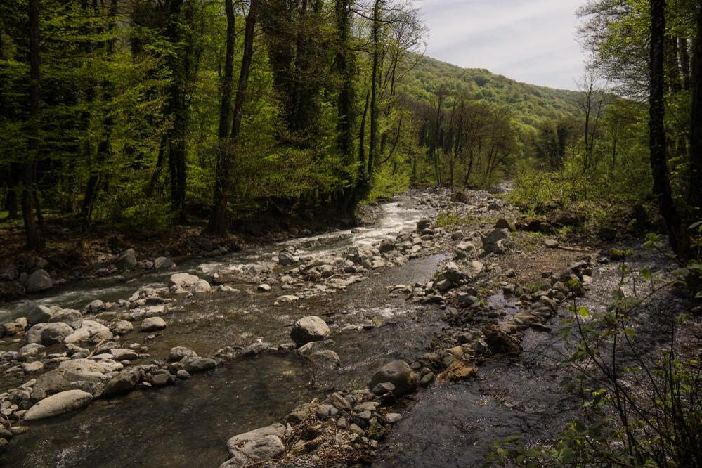 Lagodechi Nationalpark