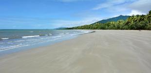 Cape Tribulation 