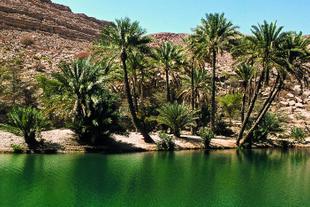Wadi