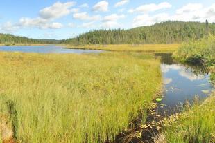 Terra-Nova-Nationalpark 