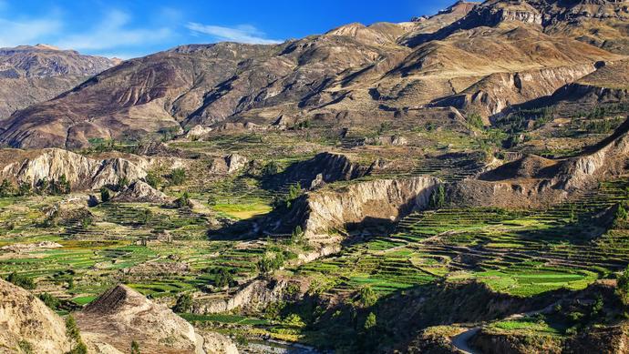 Blick auf die Treppen in den Colca Canyon in Peru