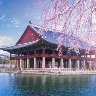Gyeongbokgung Palast im Frühling