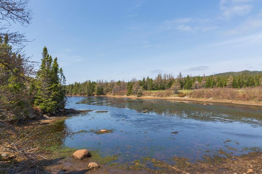 Terra-Nova-Nationalpark 
